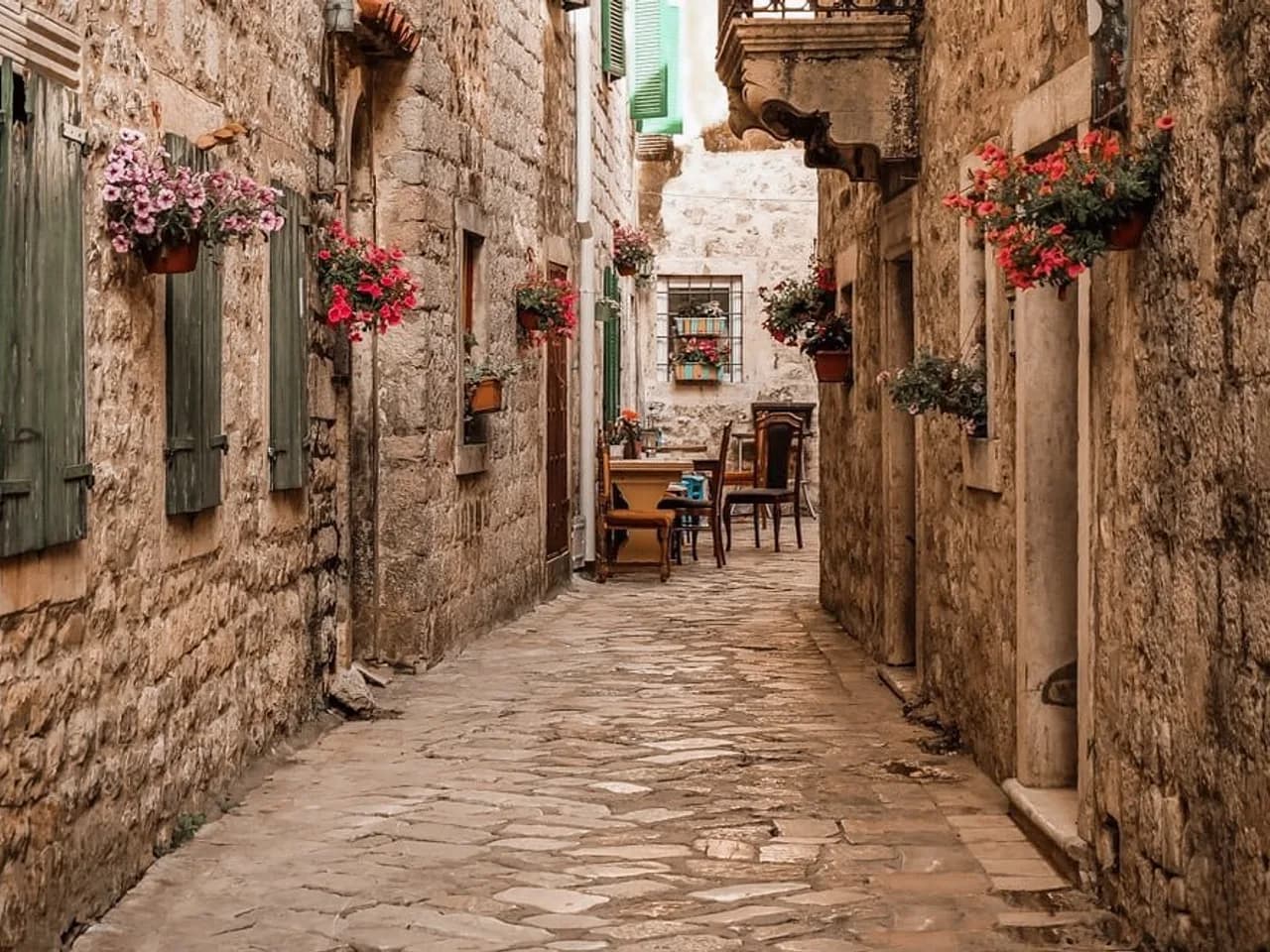 Kotor (nova adresa) — Cattarissimo