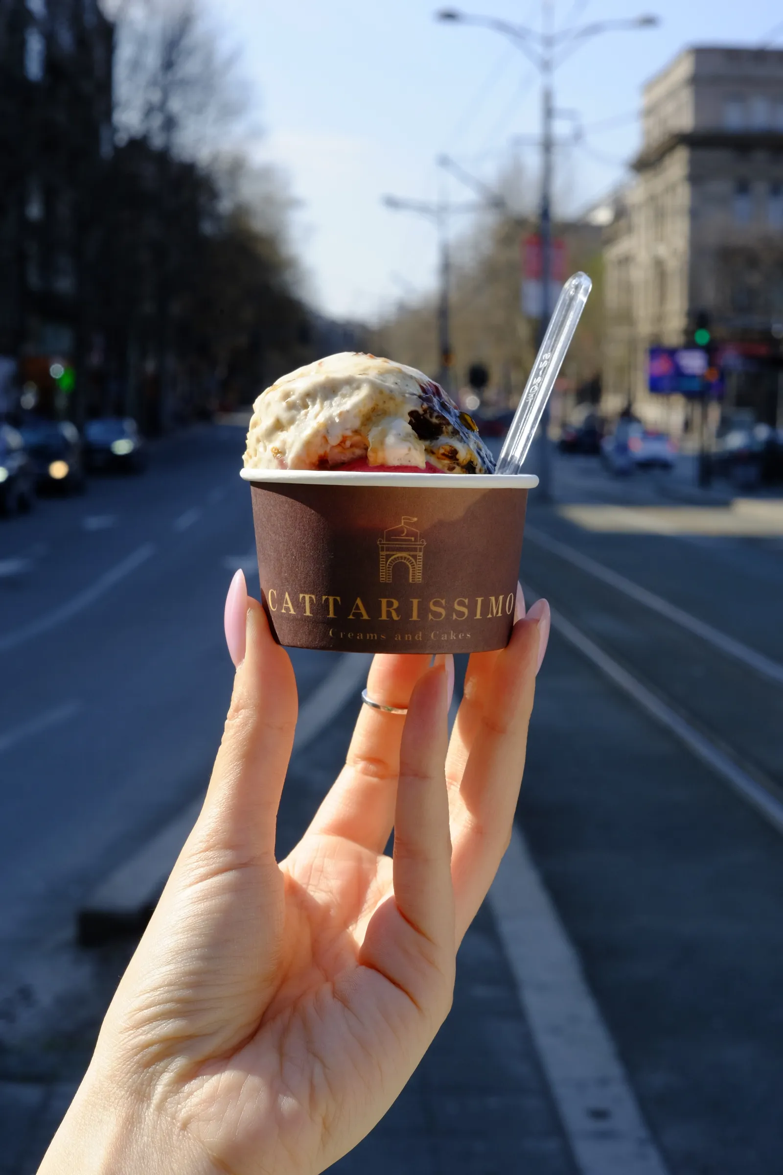 Cattarissimo front  ice cream beograd