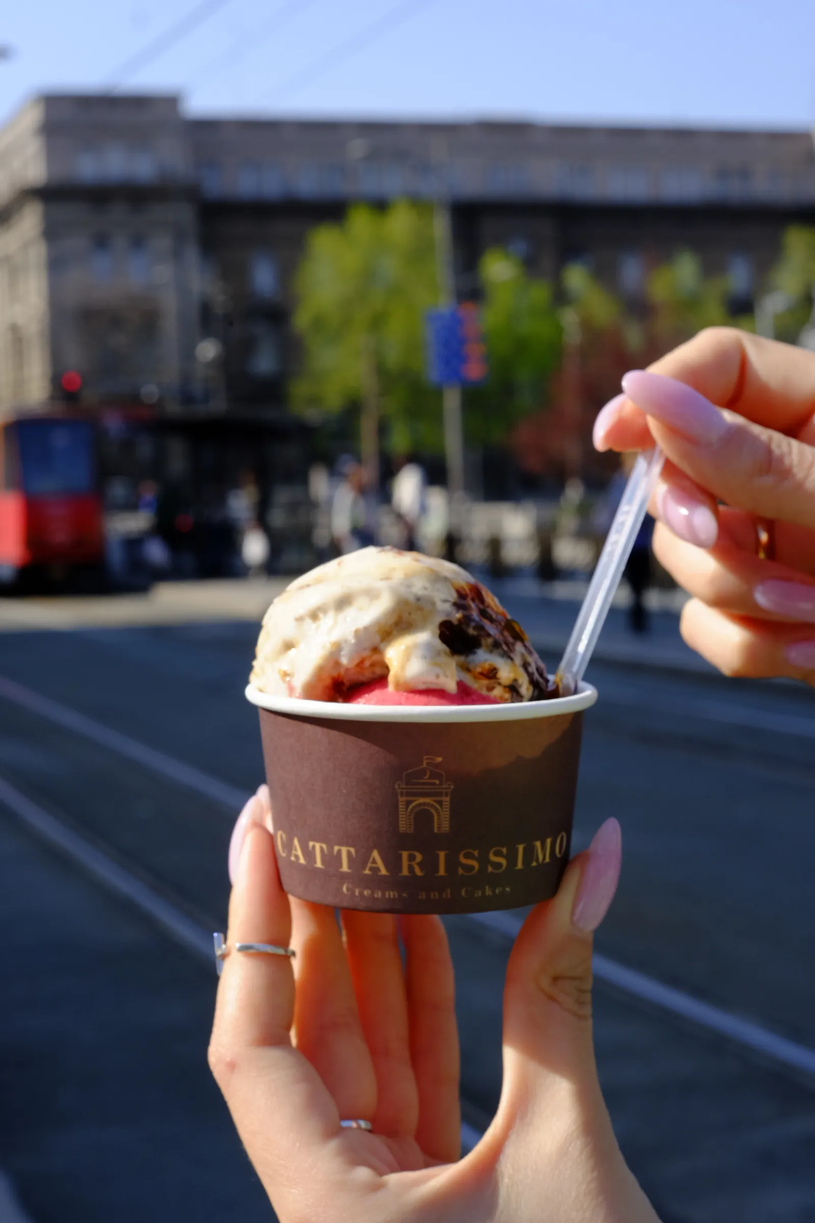 Cattarissimo gelato i torte, Beograd